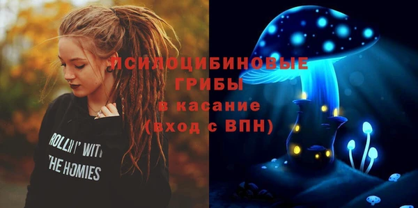 МДПВ Абдулино