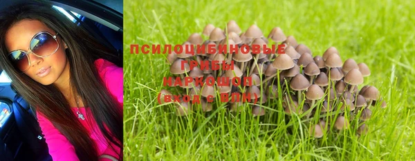 первитин Абинск