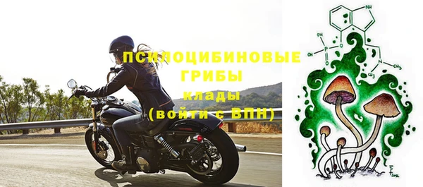 первитин Абинск